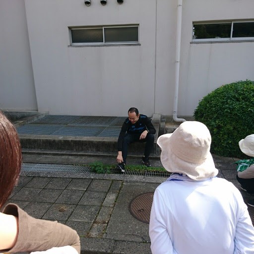 191031walking1.jpg
