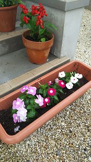 DSC_1768.jpg
